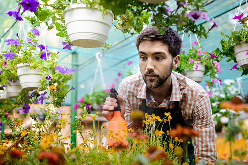 What is a Greece National Visa (Type D) for Employment?