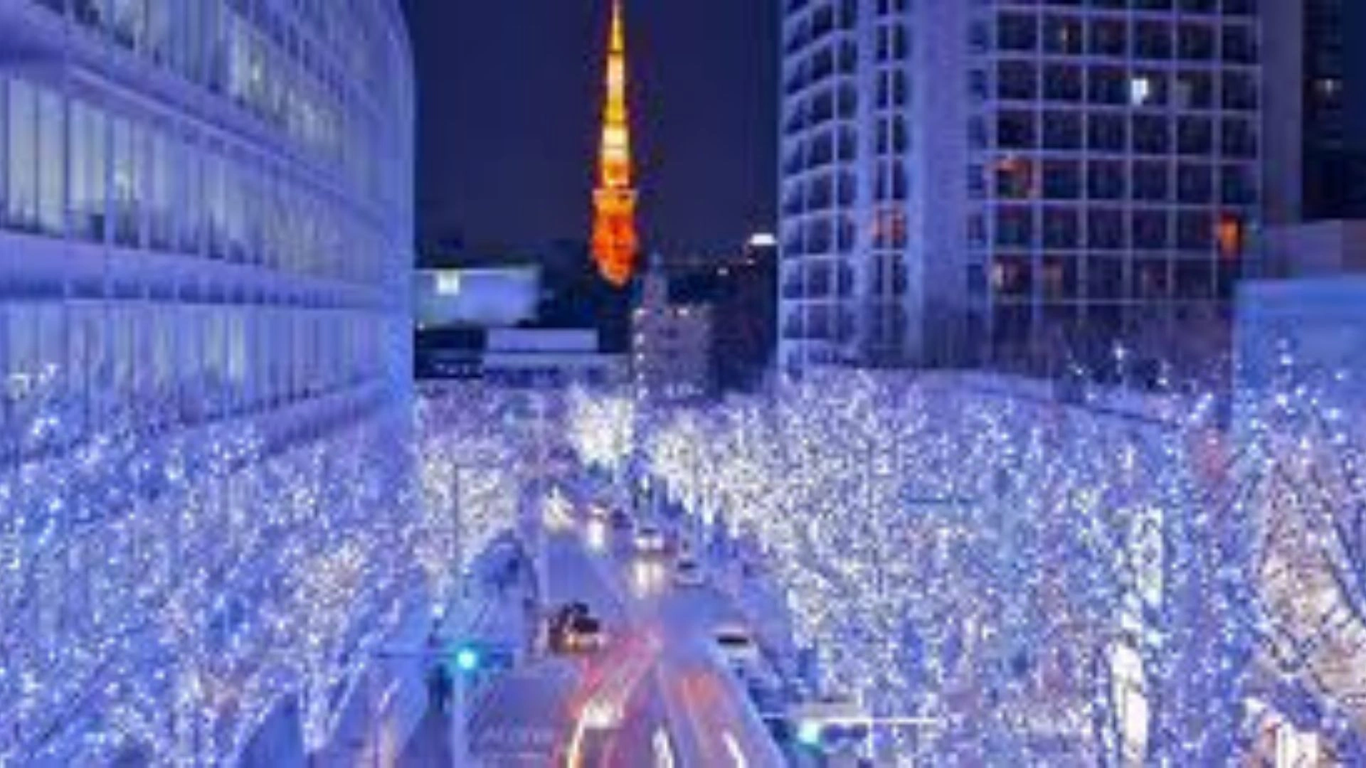 Christmas in Japan : Tips to Visit Japan During Christmas